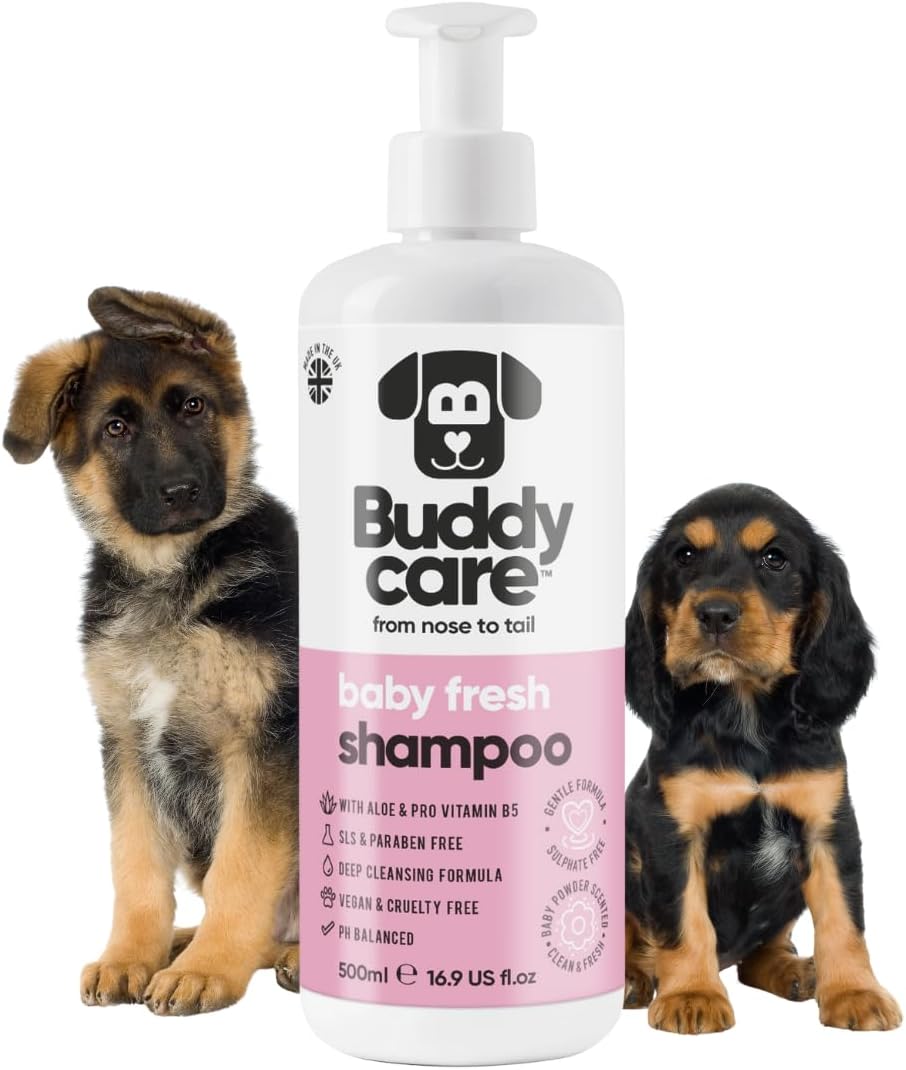 Baby Fresh Dog Shampoo by Buddycare | Deep Cleansing Shampoo for Dogs | Fresh Scented | with Aloe Vera and Pro Vitamin B5 (16.90oz)