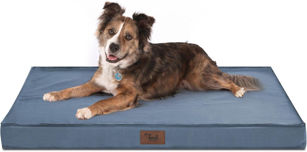 Orthopedic Dog Bed for Large Dogs - Pet Bed with Removable Washable Cover, Big Waterproof Dog Bed for Large Sized Dogs with Egg Crate Foam, Blue