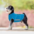MIGOHI Dog Anxiety Relief Coat,Comfort Anxiety Vest for Dogs,Adjustable Dog Anxiety Calming Wrap for Fireworks,Thunderstorm,Travel,Separation,Anxiety Jacket for Small Dogs,S,Blue