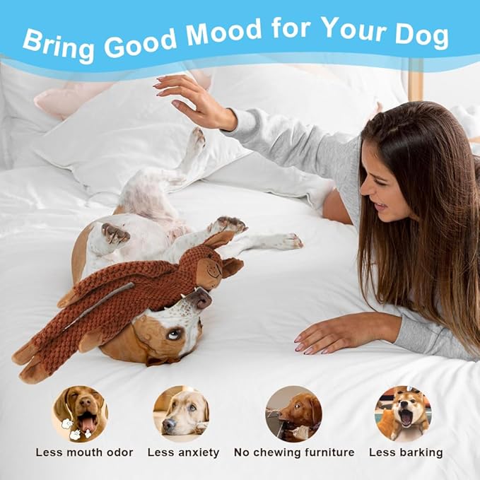 Dog Squeak Toys for Small, Medium & Large Dogs, Durable Chew Toy for Teething and Chewing, Tough Interactive Puppy Toy, 5-Pack, for Dogs