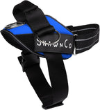 ShawnCo Essential Pro Dog Harness, No-Pull Pet Vest with 3 Leash Clips and Removable, Reflective Side Patches, Adjustable and Padded Harness for Small, Medium and Large Dogs (Electric Blue, XL)