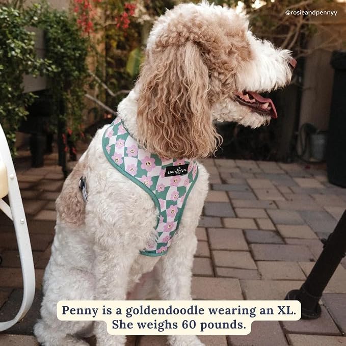 Lucy & Co. Reversible Dog Harness - Water-Repellent Neoprene, Dual-Print Design, Easy Swap Style, Adjustable Comfort Fit - Just Chill Reversible Harness - X-Large