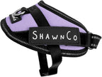 ShawnCo Essential Pro Dog Harness, No-Pull Pet Vest with Removable, Reflective Side Patches, Adjustable and Padded Harness for Small, Medium and Large Dogs (ICY Lilac, XS)