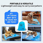 INSPECTOR TAIL Self Cooling & Traveling Mat + Free String Bag Pack/Washable & Portable Pet Soft Pad for Indoor or Outdoor/Perfect for Dog & Cats for Car Travel Kennel Sofa Bed Floor/Blue