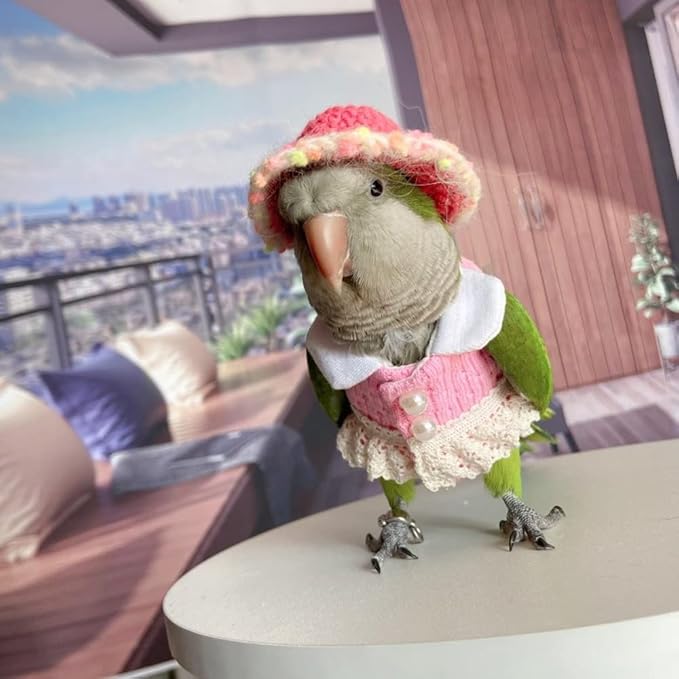 African Grey Bird Diaper Flight Suit - Pink Top Cosplay Photo Prop for Parrots, Lovebirds, Parakeets & Cockatiels