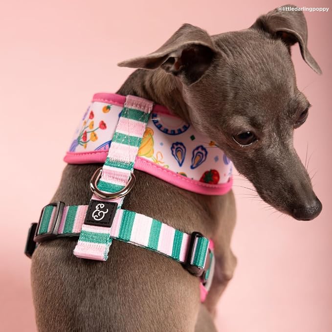 Lucy & Co. Dolce Vita Reversible Dog Harness, Adjustable Comfort Fit with Dual Leash Attachments, Small