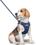 rabbitgoo Dog Harness Small Medium Sized and Leash Set, Step in Soft Light Puppy Vest, Breathable Mesh Pet Harness, Reflective for Safe Outdoor Walking, Navy Blue L