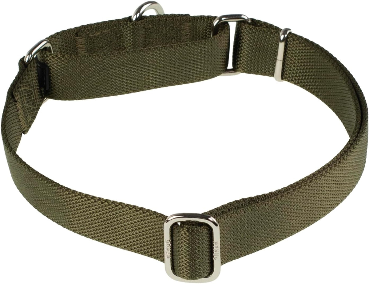 Hyhug Pets Premium Upgraded Heavy Duty Nylon Anti-Escape Martingale Collar for Boy and Girl Dogs Comfy and Safe - Professional Training, Daily Use Walking. (Army Green, Medium)