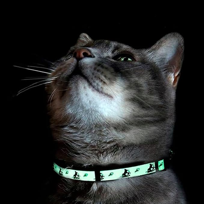 Pawtitas Glow in The Dark Cat Collar with Safety Buckle and Removable Bell Cat Collar Kitten Collar Blue Cat Collar