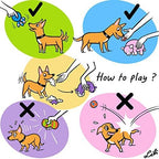 CHIWAVA 3 Pack 2.7'' Latex Squeaky Dog Toy Ball Smiley Face Round Balls Interactive Fetch Play for Medium Dogs