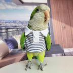 Bird Costume Bird Diaper Flight Suit Bird Summer Clothes Cosplay Photo Prop for Parrots Lovebird Parakeet Cockatiel Small Animals Apparel (Without Diaper,Alexandrine)