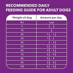 IAMS Advanced Health Healthy Digestion Adult Dry Dog Food with Real Chicken, 6 lb. Bag