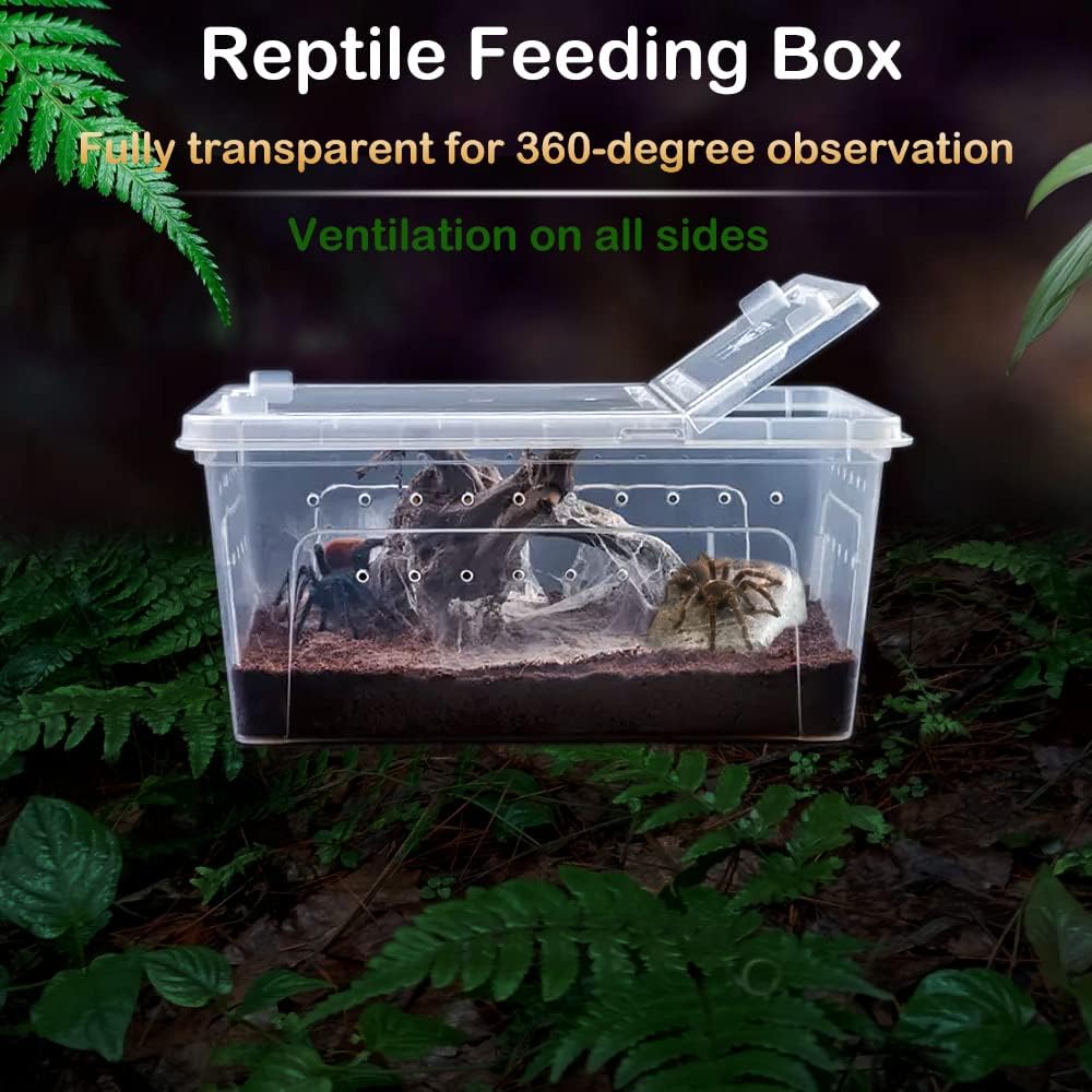 2 Pack Reptile Box Escape-Proof Breeding House Portable Reptile Terrarium Habitat for Reptile Crickets Snails Hermit Crabs Baby Tortoise Snakes Tarantulas Geckos Frogs Lizards (S and L)