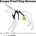 Escape Proof Dog Harness, No Pull Reflective Harness with Lift Handle,Adjustable Pet Vest with Front and Back Leash Clips for Small Medium Large Dogs Walking Hiking Training(Lavender Purple,L)