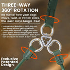Howgo Double Slip Leash Slip Lead with Two Handles| Dual Dog Slip Lead for 2 Dogs,360° Swivel No Tangle | Dog Training Collar | Double Clip Leash Coupler and Splitter (MintGreen, 6FT)
