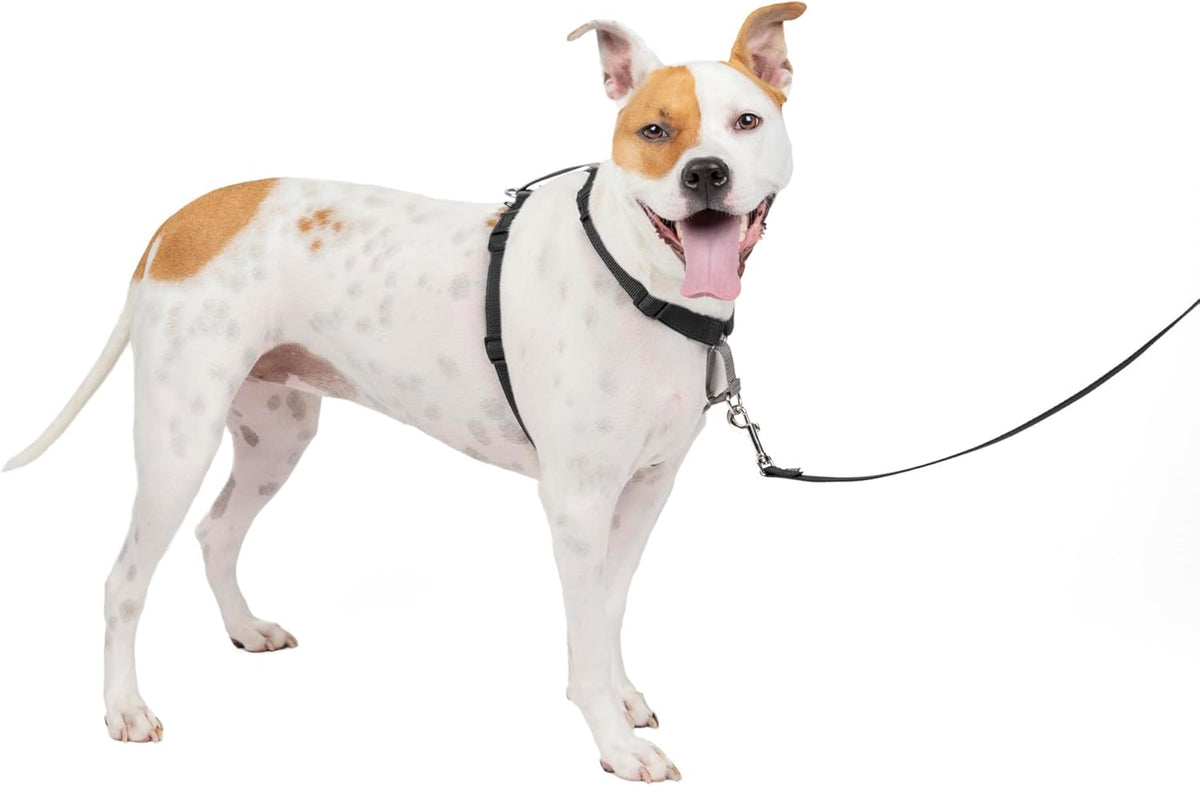 PetSafe 3 in 1 Dog Harness - No Pull Solution for Dogs - Reflective Dog Harness - Front D-Ring Clip Helps Stop Pulling - Comfortable Padded Straps - Top Handle Enhances Control - Black - Medium