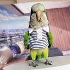 Bird Costume Bird Diaper Flight Suit Bird Summer Clothes Cosplay Photo Prop for Parrots Lovebird Parakeet Cockatiel Small Animals Apparel (Without Diaper,Alexandrine)