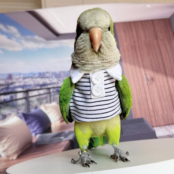 Bird Costume Bird Diaper Flight Suit Bird Summer Clothes Cosplay Photo Prop for Parrots Lovebird Parakeet Cockatiel Small Animals Apparel (Without Diaper,Alexandrine)