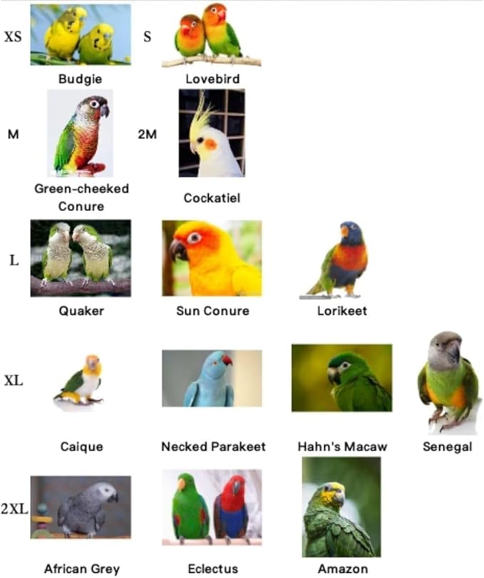 Bird Costume Bird Diaper Flight Suit Parrot Velvet Fleece Skirt Clothes Cosplay Photo Prop for Conure Lovebird Parakeet Cockatiel Macaw Small Animals Apparel (Pink,Small)