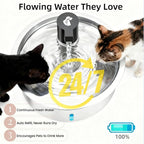 Dog Water Fountain, 8L/2.1 Gal Stainless Steel for Large Dogs & Multi-Pet | Large Dog Water Bowl Dispenser, Quiet Pump, Replacement Filters, Easy Cleaning, Water Level Window, Long Lifespan, Indoor Use