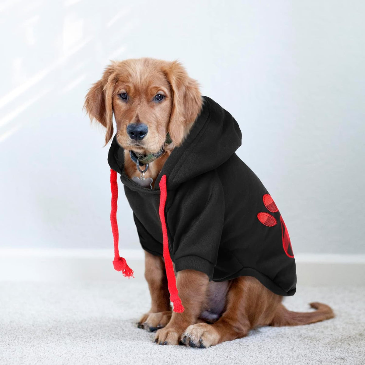 SAWMONG Dog Hoodie,Flannel Pet Hooded Sweater with Hat Puppy Pullover Sweater Shirt,Dog (Black,L)