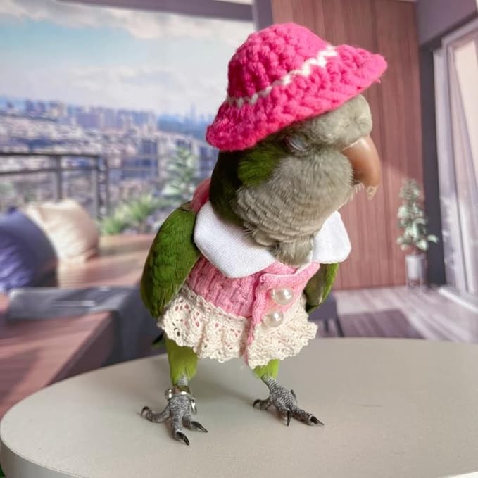 Bird Diaper Flight Suit - Pink Top Cosplay Photo Prop for Parrots, Lovebirds, Parakeets, Cockatiels & Small Animals (Green-cheeked Conure)
