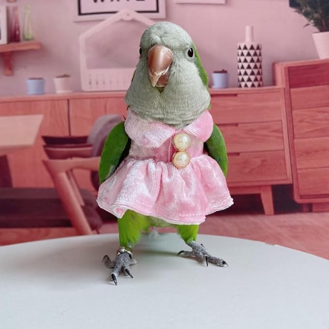 Bird Costume Bird Diaper Flight Suit Parrot Velvet Fleece Skirt Clothes Cosplay Photo Prop for Conure Lovebird Parakeet Cockatiel Macaw Small Animals Apparel (Pink,Small)