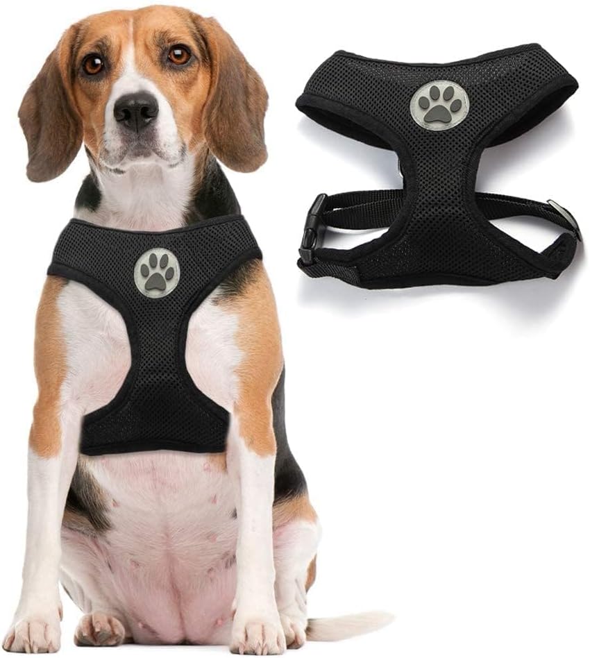 BINGPET Dog Vest Harness -Light Weight Breathable Sports Mesh - Pet Adjustable Harness Puppy Padded Harnesses Dog Vest Harness for Small Dogs