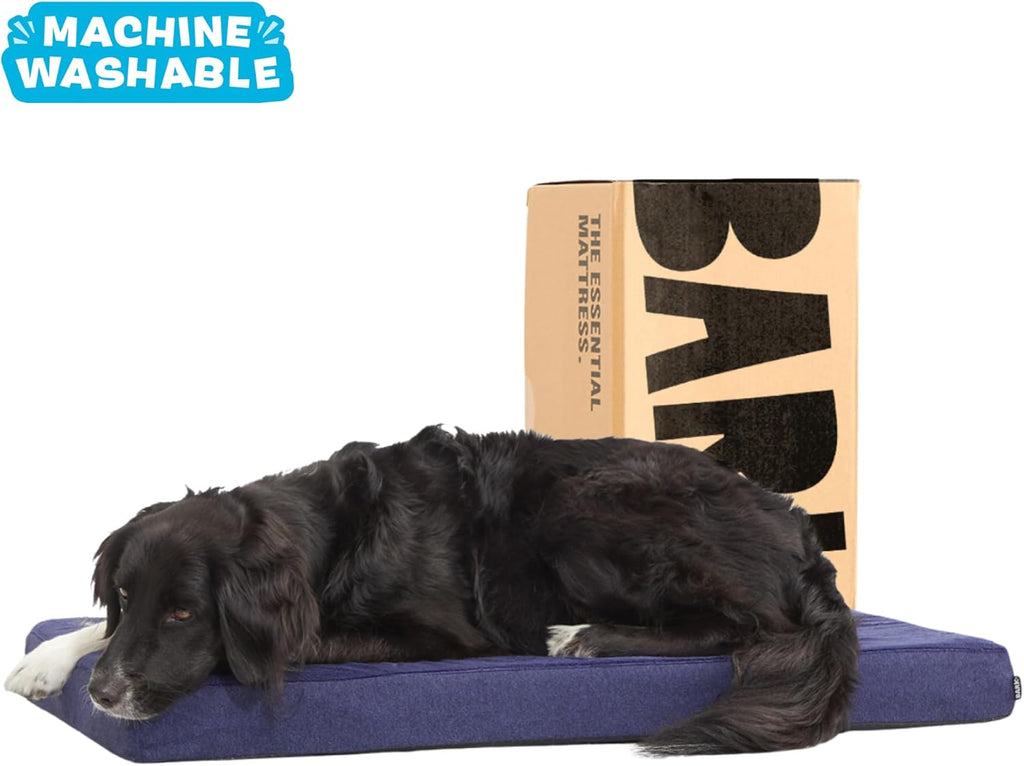 Barkbox Orthopedic Dog Bed with Memory Foam, Premium Comfort for Dogs and Puppies, Dog Bed for Joint Relief and Restful Sleep, Durable and Easy to Clean - Navy, Large