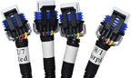 Michigan Motorsports LS Ignition Coil Harness Pair | Fits GM 4.8L 5.3L 6.0L 6.2L 7.0L 8.1L LQ4 LQ9 LS2 LS3 LS7 LSX V8 Engines | Replaces 89017477, 2 Color-Coded Stock-Location Harnesses for Both Banks