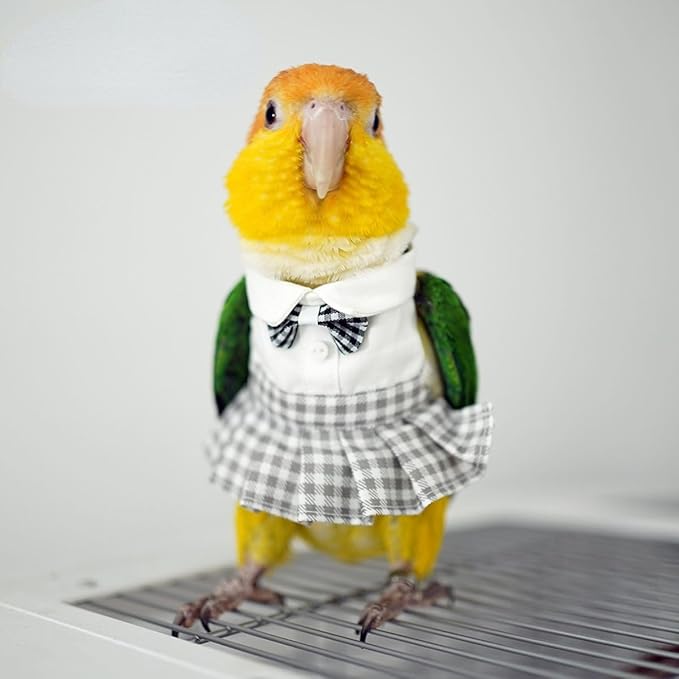 Bird Costume Bird Diaper Flight Suit Cute JK Dress Dress Skirt Clothes Cosplay Photo Prop for Parrots Macaw Cockatoo (with Diaper,XL)