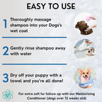 Gallon Bottle 5 in 1 Dog Shampoo for Itchy Skin - Sensitive Skin Dog Shampoo for Smelly Dogs - Dog Shampoos & Conditioners - Made in The USA