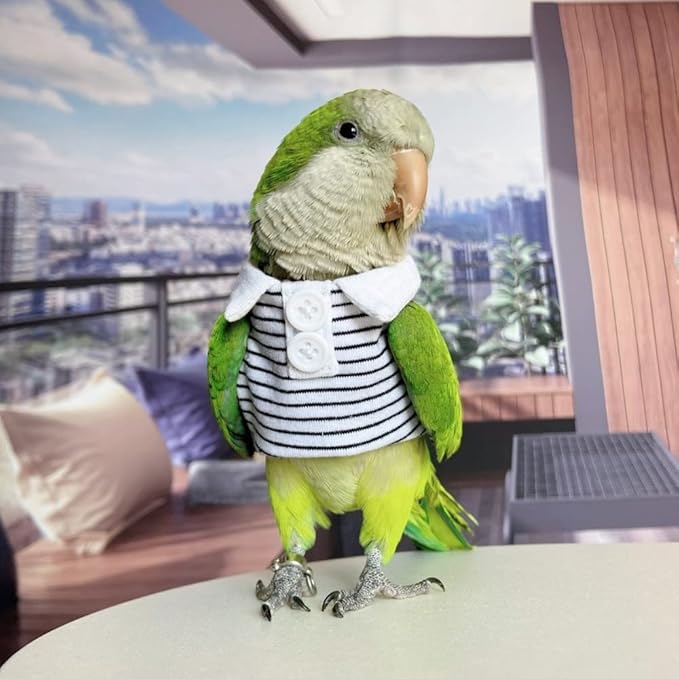Bird Costume Bird Diaper Flight Suit Bird Summer Clothes Cosplay Photo Prop for Parrots Lovebird Parakeet Cockatiel Small Animals Apparel (Without Diaper,Alexandrine)