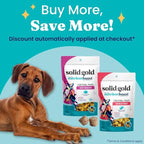 Solid Gold Healthy Dog Treats - Functional Pumpkin Dog Teats w/Flaxseed & Gentle Superfoods for Gut Health & Digestion - Gluten Free Healthy Training Treat for Dogs of All Ages & Sizes - 5.2 oz