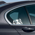 WIRESTER 6 inch Clear Vinyl Decal Sticker Decoration for Car Window (Or Any Flat Surface) - Cavalier King Charles Spaniels Dog