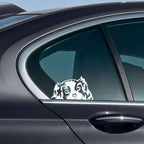 WIRESTER 6 inch Clear Vinyl Decal Sticker Decoration for Car Window (Or Any Flat Surface) - Cavalier King Charles Spaniels Dog