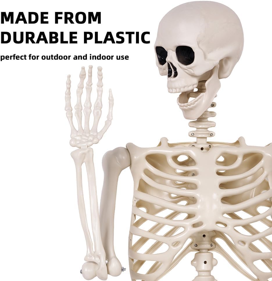 2 Pack 36" Halloween Skeleton - 3 ft Life Size Human Skeleton with Full Body Posable Joints - Spooky Scary Plastic Skeletons for Outdoor Decoration, Halloween Party Decor, Haunted House Props