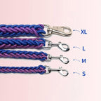 Love Dream Dog Collar and Leash Set, Heavy Duty Nylon Braided Rope Strong 4 FT Dog Leash and Martingale Training Collar for Small Medium Large Dogs Training and Walking (Blue & Pink)