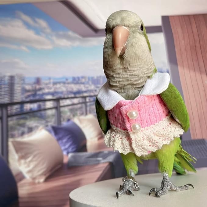 Bird Diaper Flight Suit - Pink Top Cosplay Photo Prop for Parrots, Lovebirds, Parakeets, Cockatiels & Small Animals (Green-cheeked Conure)