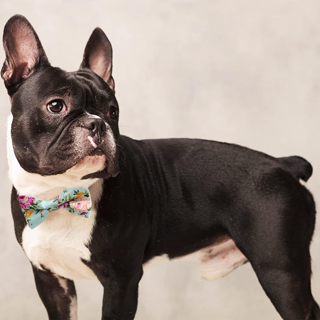 Adjustable Bow Tie Set (10-Pack). A small, easy way to dress up any outfit.