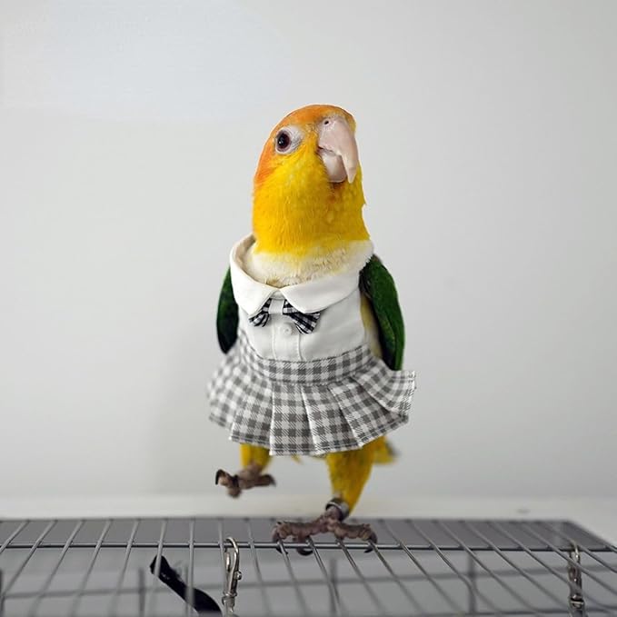 Bird Costume Bird Diaper Flight Suit Cute JK Dress Dress Skirt Clothes Cosplay Photo Prop for Parrots Macaw Cockatoo (with Diaper,XL)