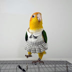 Bird Costume Bird Diaper Flight Suit Cute JK Dress Dress Skirt Clothes Cosplay Photo Prop for Parrots Macaw Cockatoo (with Diaper,XL)