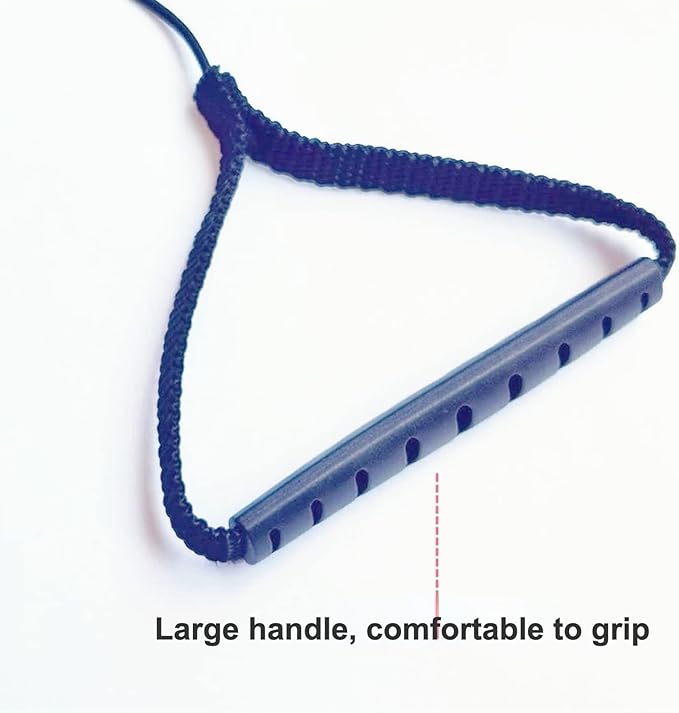 Pet Parrot Bird Harness Leash Adjustable Bird Flying Harness Traction Rope with Cute for Parrots Budgerigar Lovebird Cockatiel Mynah Outdoor Training Toy (Mynah,Blue)