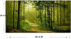 Green Morning Sunlight Forest Scenery Canvas Wall Art for Bedroom Home,Beautiful Silent Summer Woods Picture Print Artwork Painting Decor,Mordern Realism Rustic Wilderness Landscape,Inner Frame 24x48