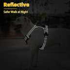 PUPTECK No Pull Dog Harness for Large, Adjustable Reflective Dog Harness with Handle Easy Control, Comfortable Soft Padded Pet Vest Harness for Large Dogs, Sunflower L