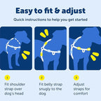 PetSafe Easy Walk Harness, No Pull Dog Harness, Royal Blue, Medium/Large | Patented Martingale Loop Gives Gradual Shoulder Pressure to Stop Pulling, Front-Chest Leash Clip Prevents Gagging