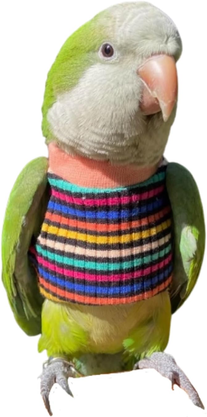 Bird Clothes - Handmade Cotton Stripe Shirt Round Collar Sweater Flight Suit for Parrots African Greys Parakeet Cockatiel Sun Conure Christmas Halloween (with Diaper,XS)