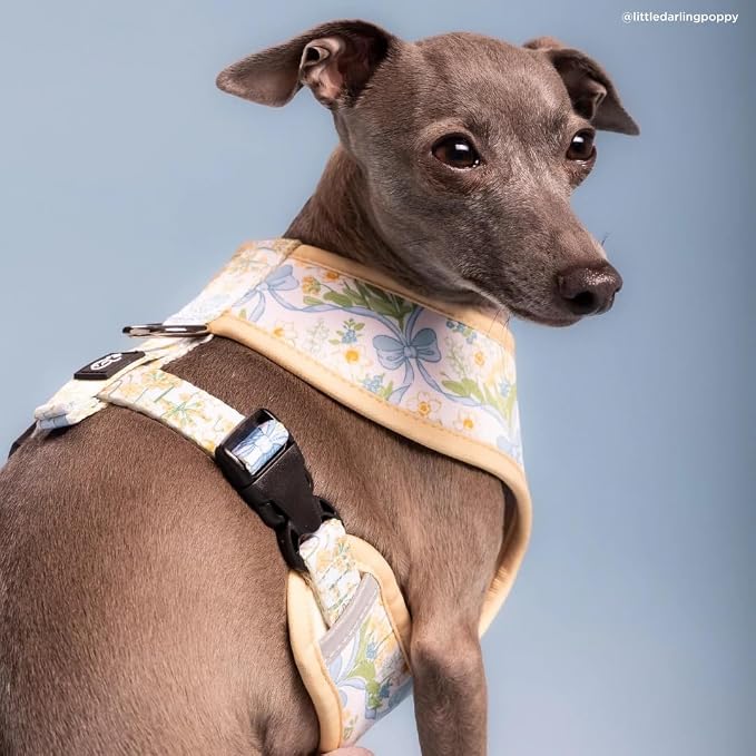 Lucy & Co. Reversible Dog Harness - Water-Repellent Neoprene, Dual-Print Design, Easy Swap Style, Adjustable Comfort Fit - Sunshine Daffodils Reversible Harness - Medium