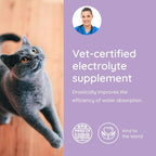 Petralyte Cat Hydration Electrolyte and Cat Joint Supplement | Hydration Support for Cats w/Glucosamine, Chondroitin, L-Glutamine, Taurine, Lysine & Prebiotics | for Salmon Lovers | 16 Packets