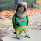 Bird Flight Harness Vest, Snap-Fastener Design Harness Vast, Parrot Flight Suit with Leash for Parakeets Budgies, Bird Flying Clothes with Rope and Handle for Outdoor Activities Training, Anti Bite